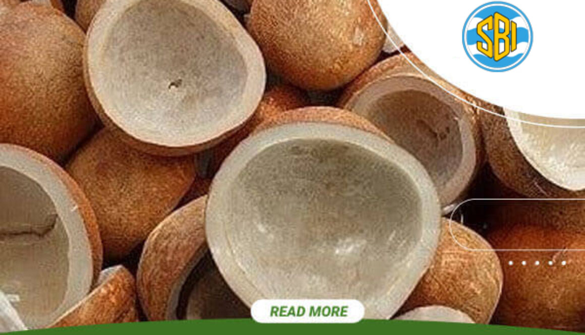 sofari-berkah-indonesia-indonesia-product-export-