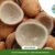 sofari-berkah-indonesia-indonesia-product-export-
