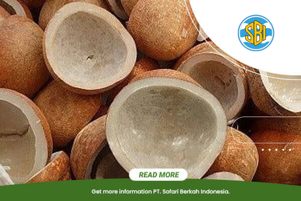 sofari-berkah-indonesia-indonesia-product-export-