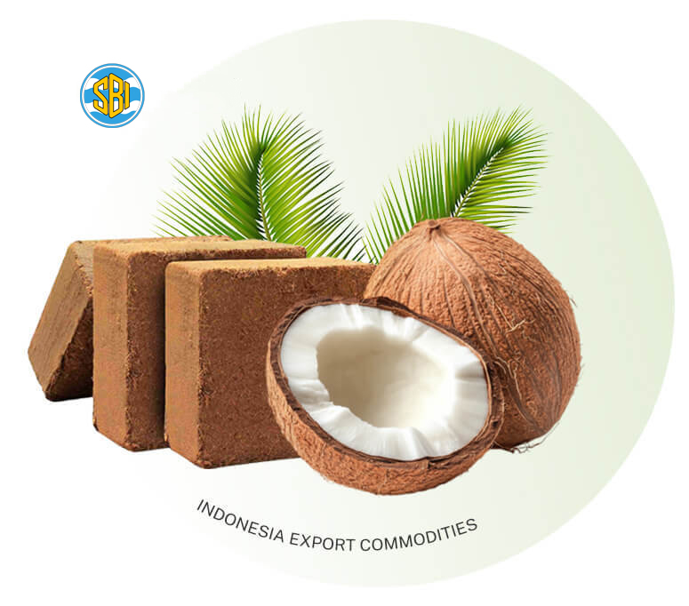 sofari-berkah-indonesia-profil-